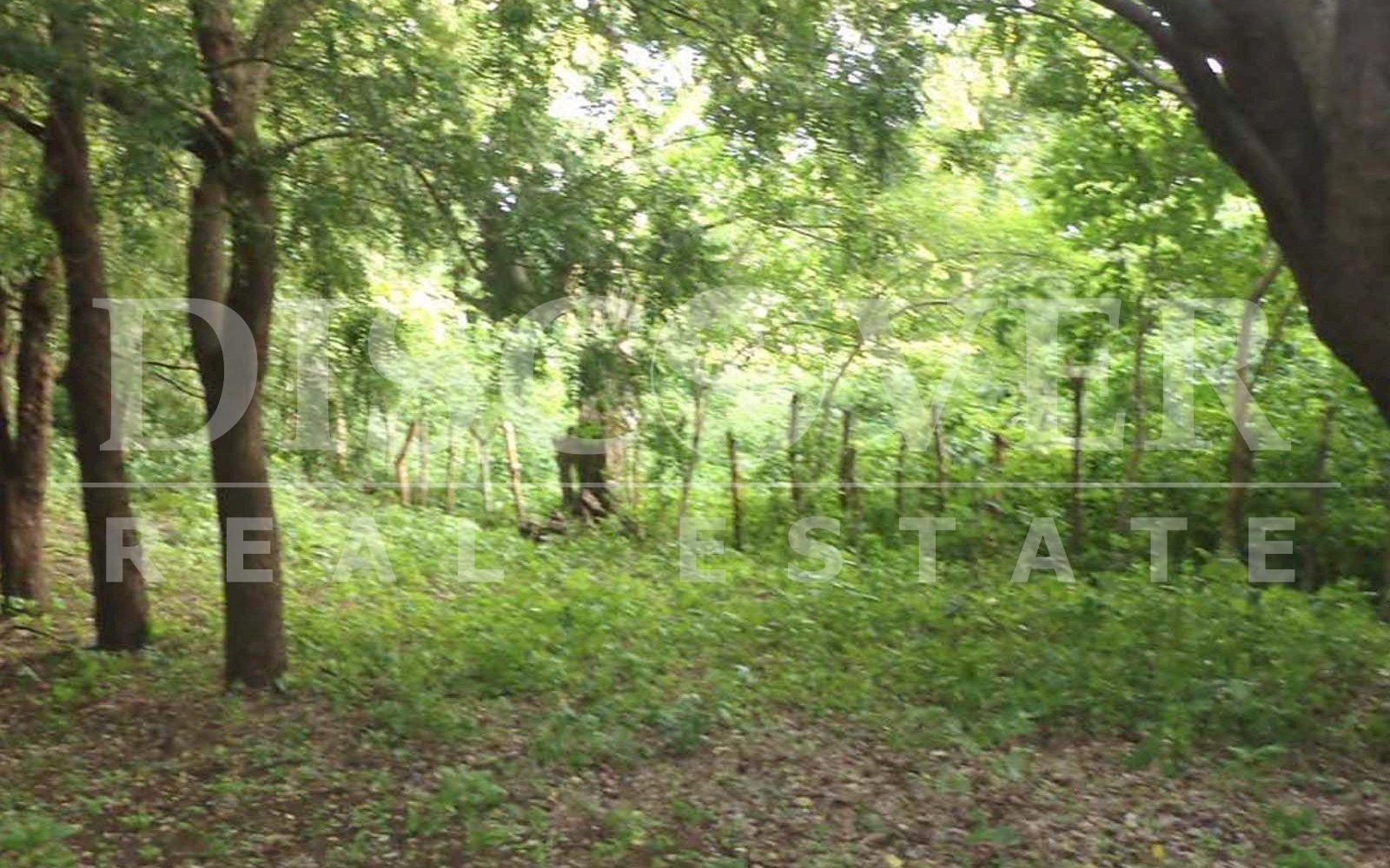 https://images.discovernica.com/propiedad/1600/Finca09.jpg