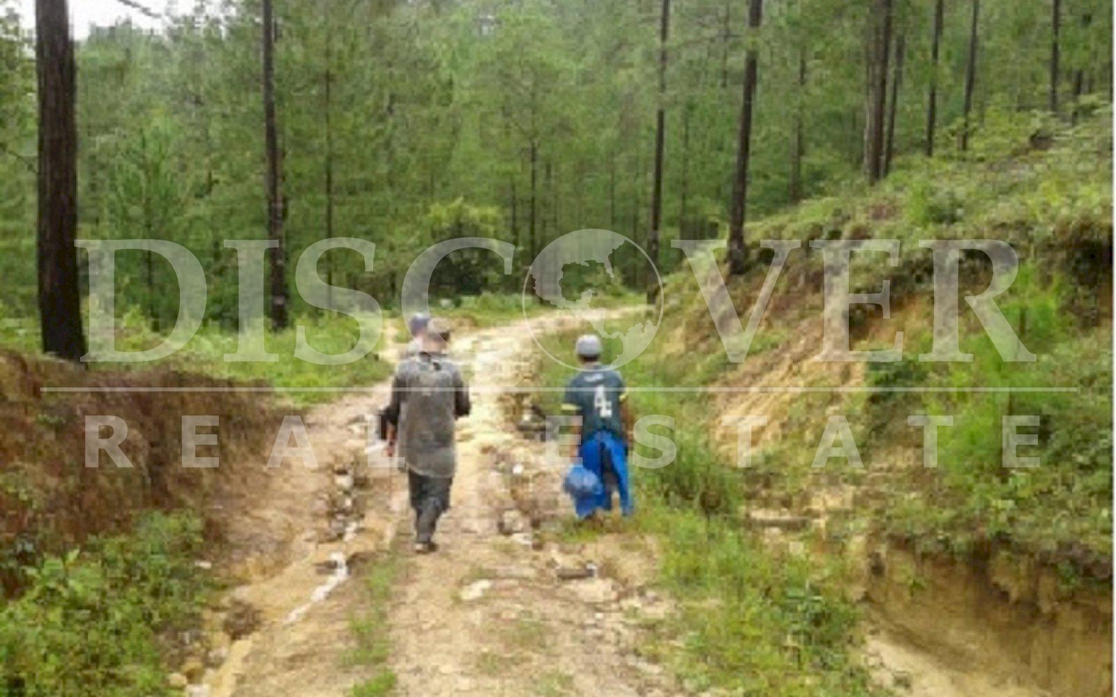https://images.discovernica.com/propiedad/1600/Foto01.jpg