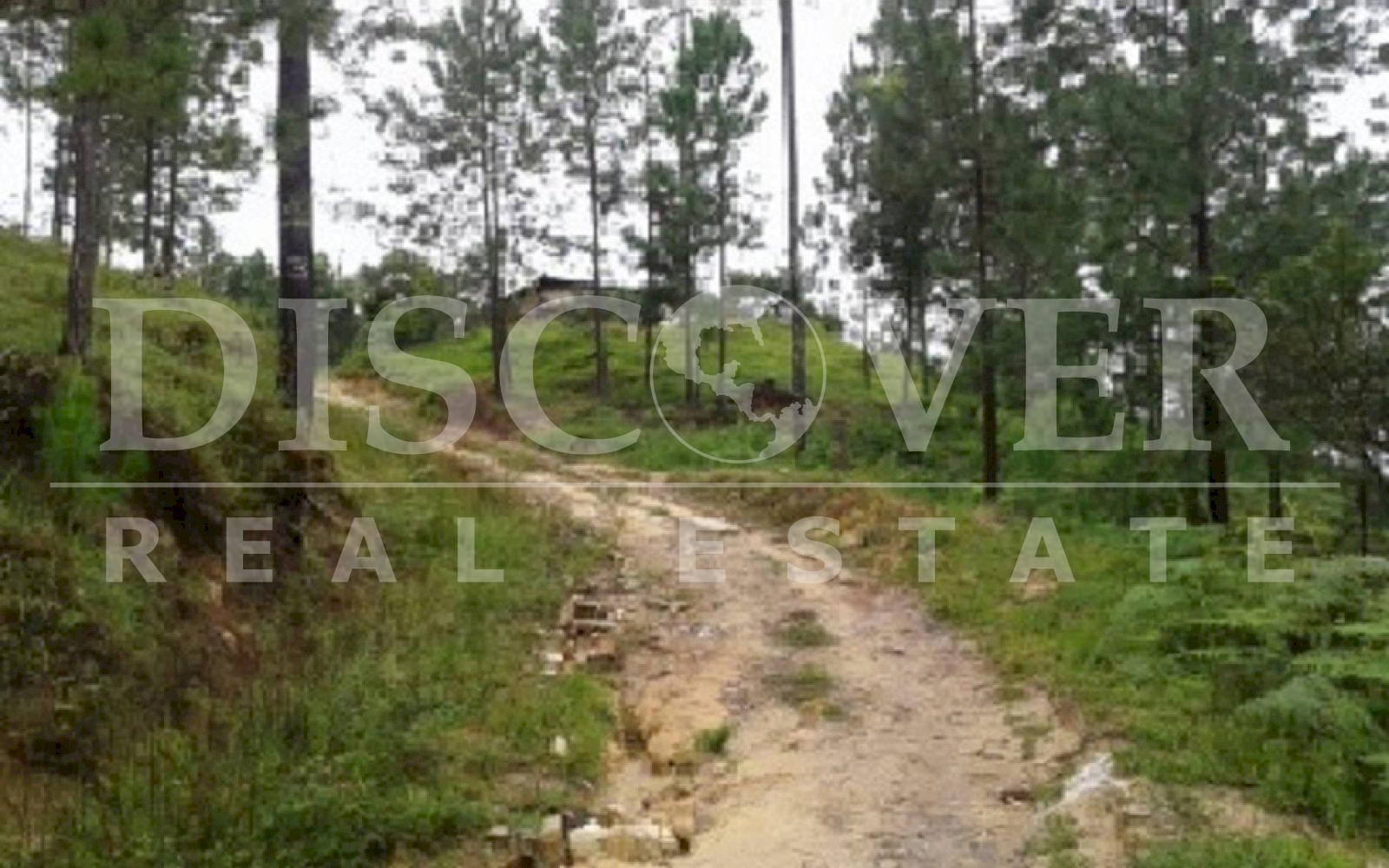 https://images.discovernica.com/propiedad/1600/Foto02.jpg