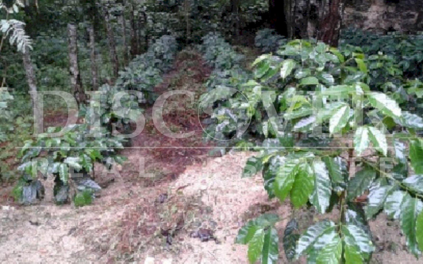 https://images.discovernica.com/propiedad/1600/Foto03.jpg