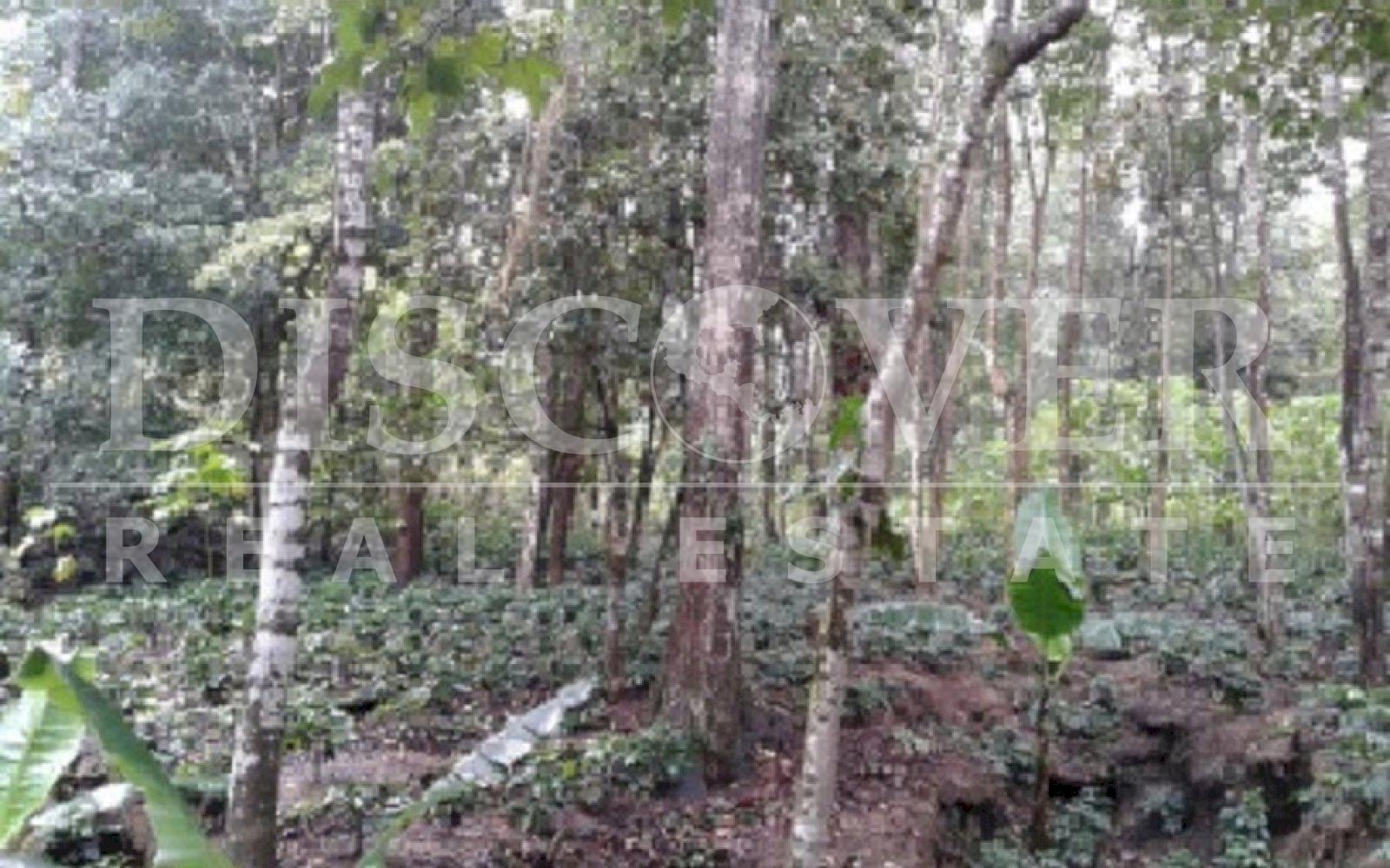 https://images.discovernica.com/propiedad/1600/Foto04.jpg