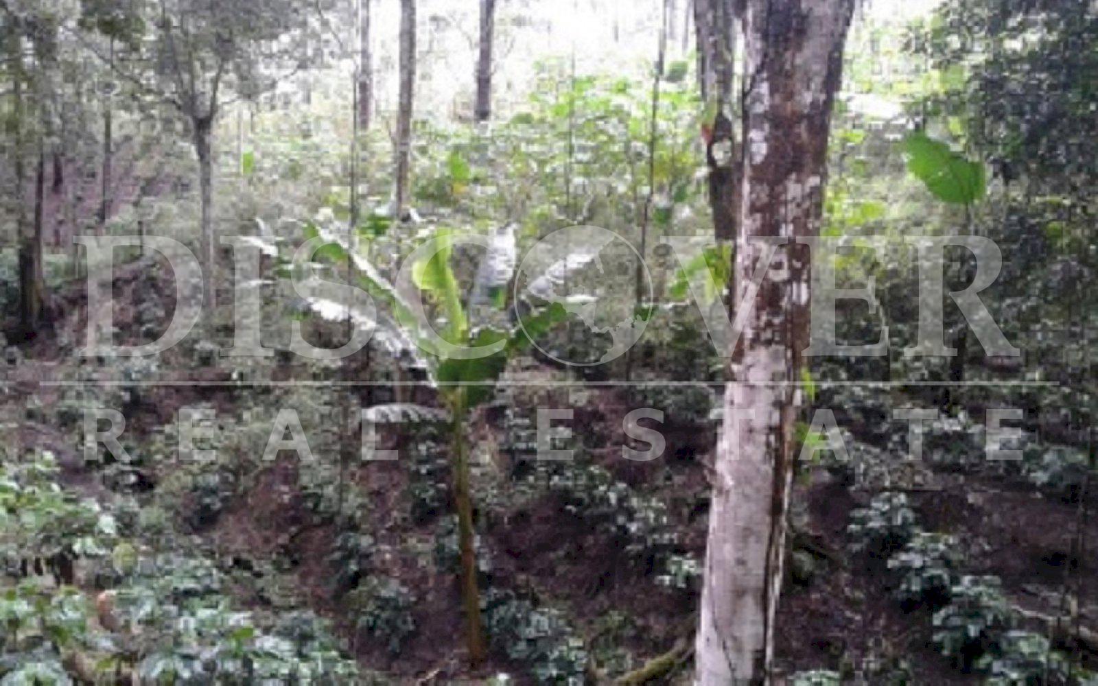 https://images.discovernica.com/propiedad/1600/Foto05.jpg