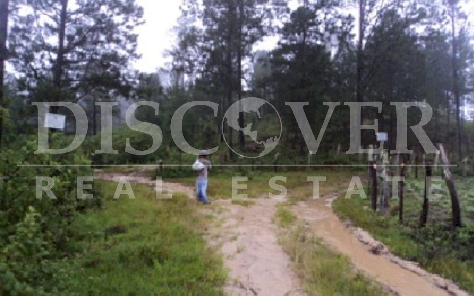 https://images.discovernica.com/propiedad/1600/Foto06.jpg
