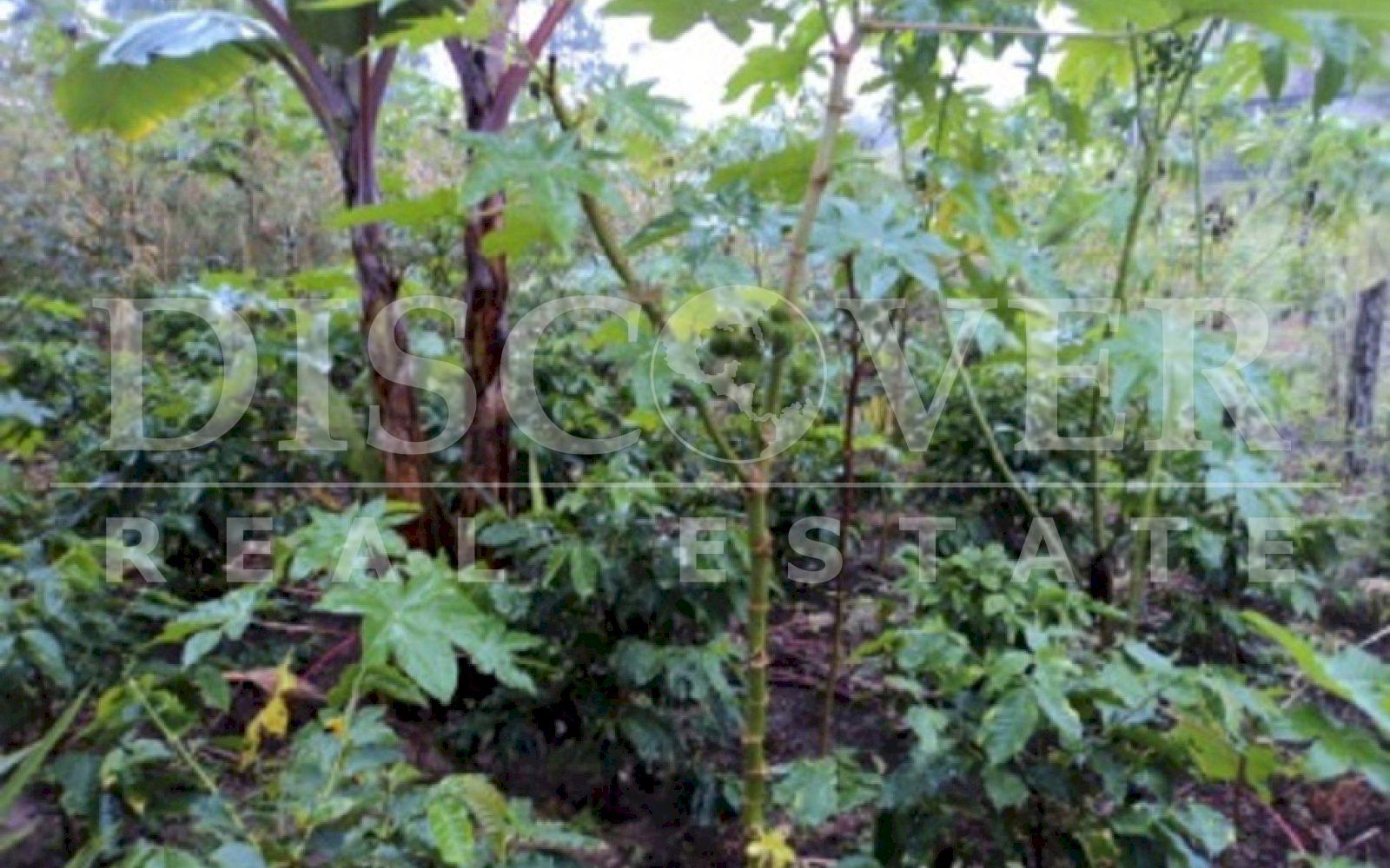 https://images.discovernica.com/propiedad/1600/Foto08.jpg