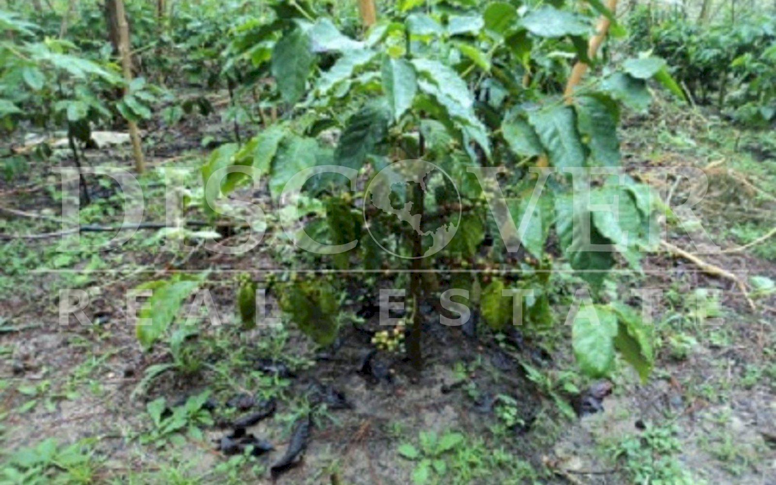 https://images.discovernica.com/propiedad/1600/Foto09.jpg