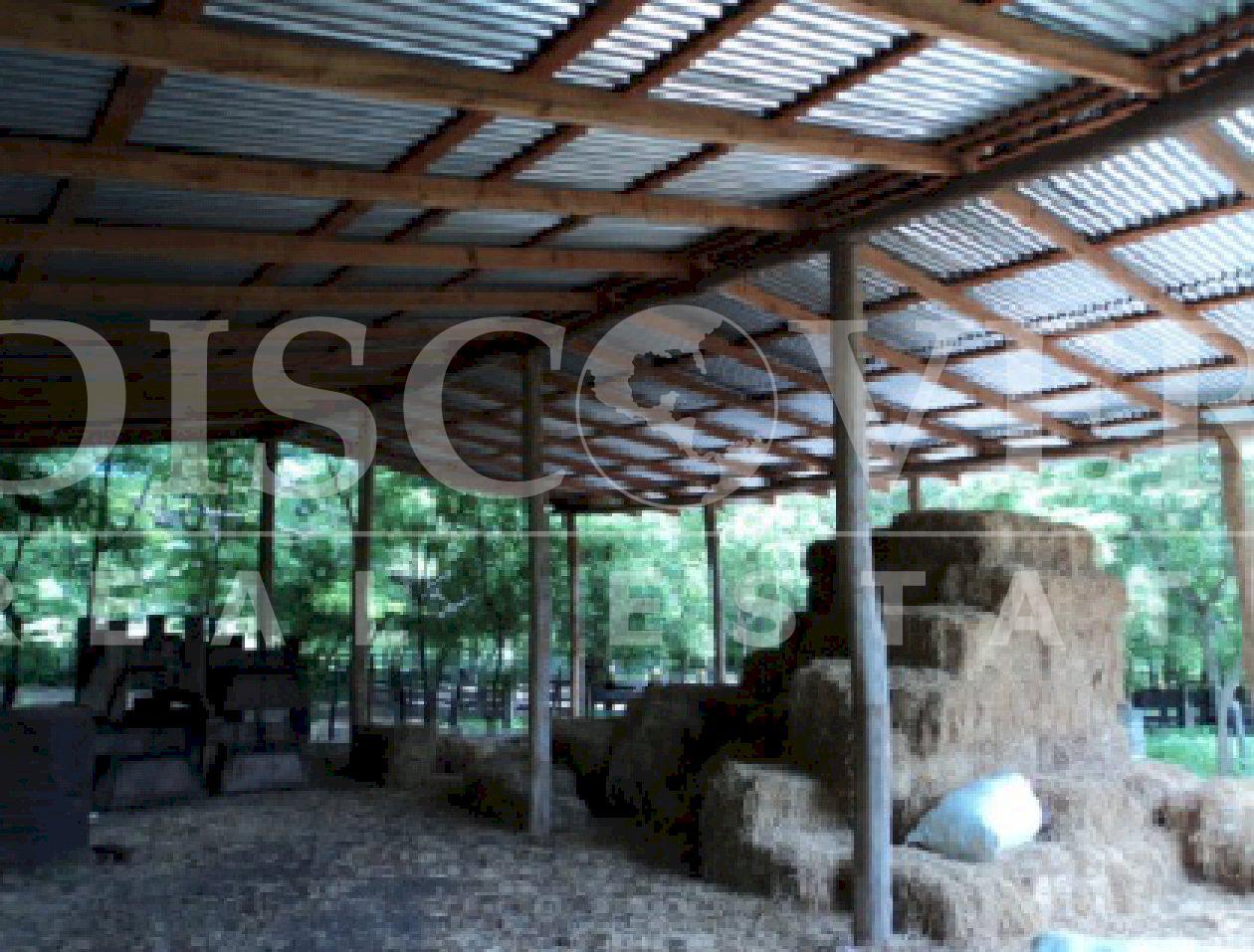 Imagen 3 de la galería