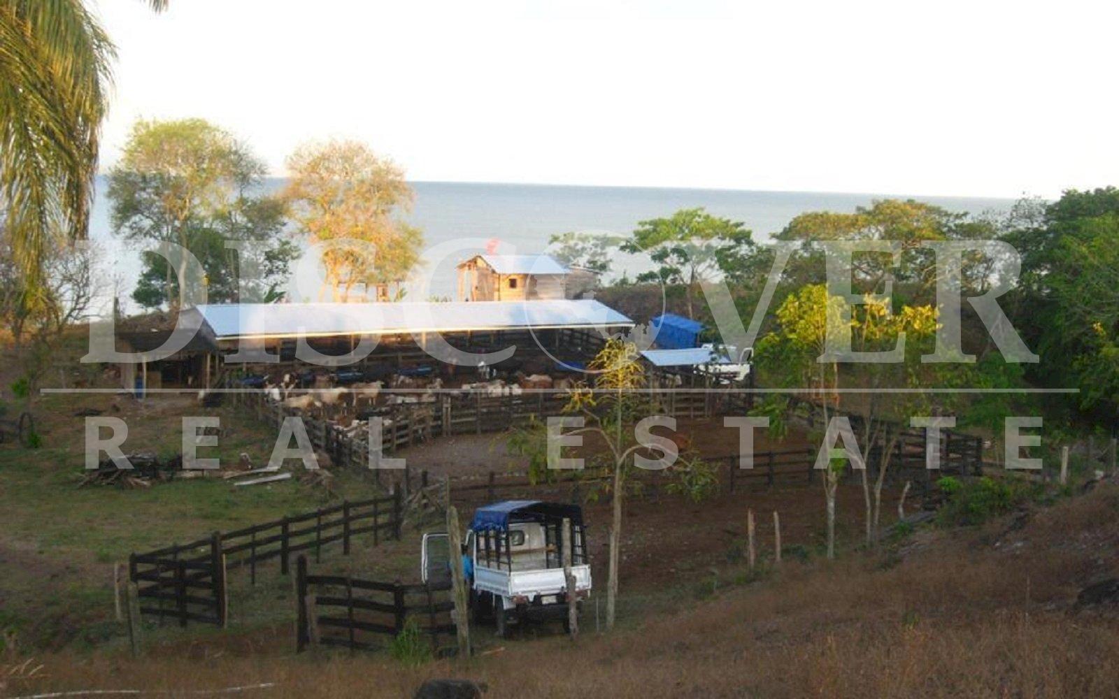 Imagen 4 de la galería