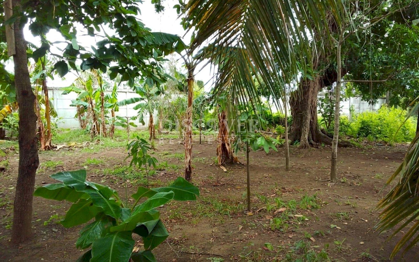 Lot for sale in Carretera a Masaya 