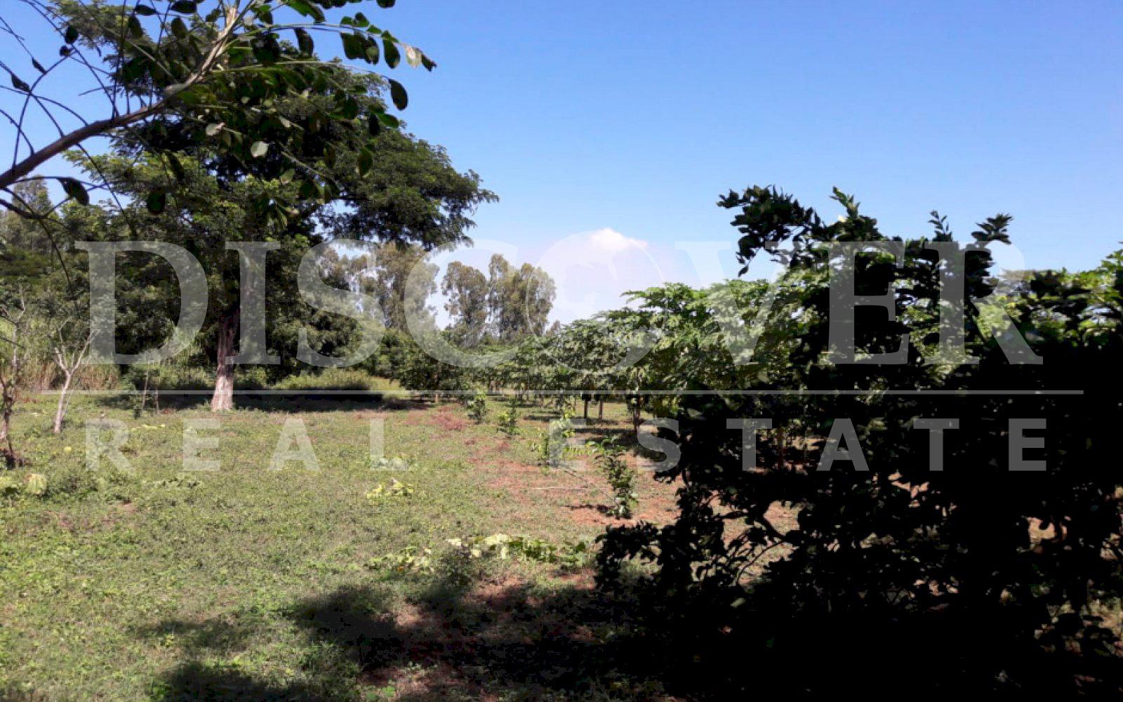 https://images.discovernica.com/propiedad/1600/HBF_8.jpg