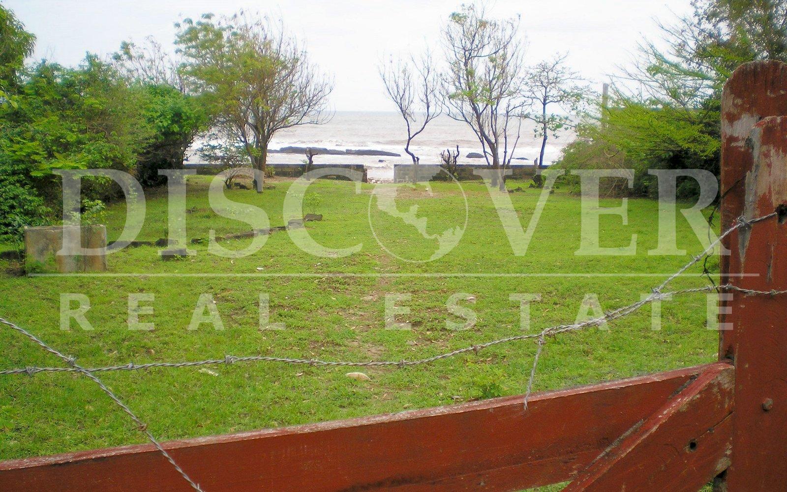 Imagen 4 de la galería