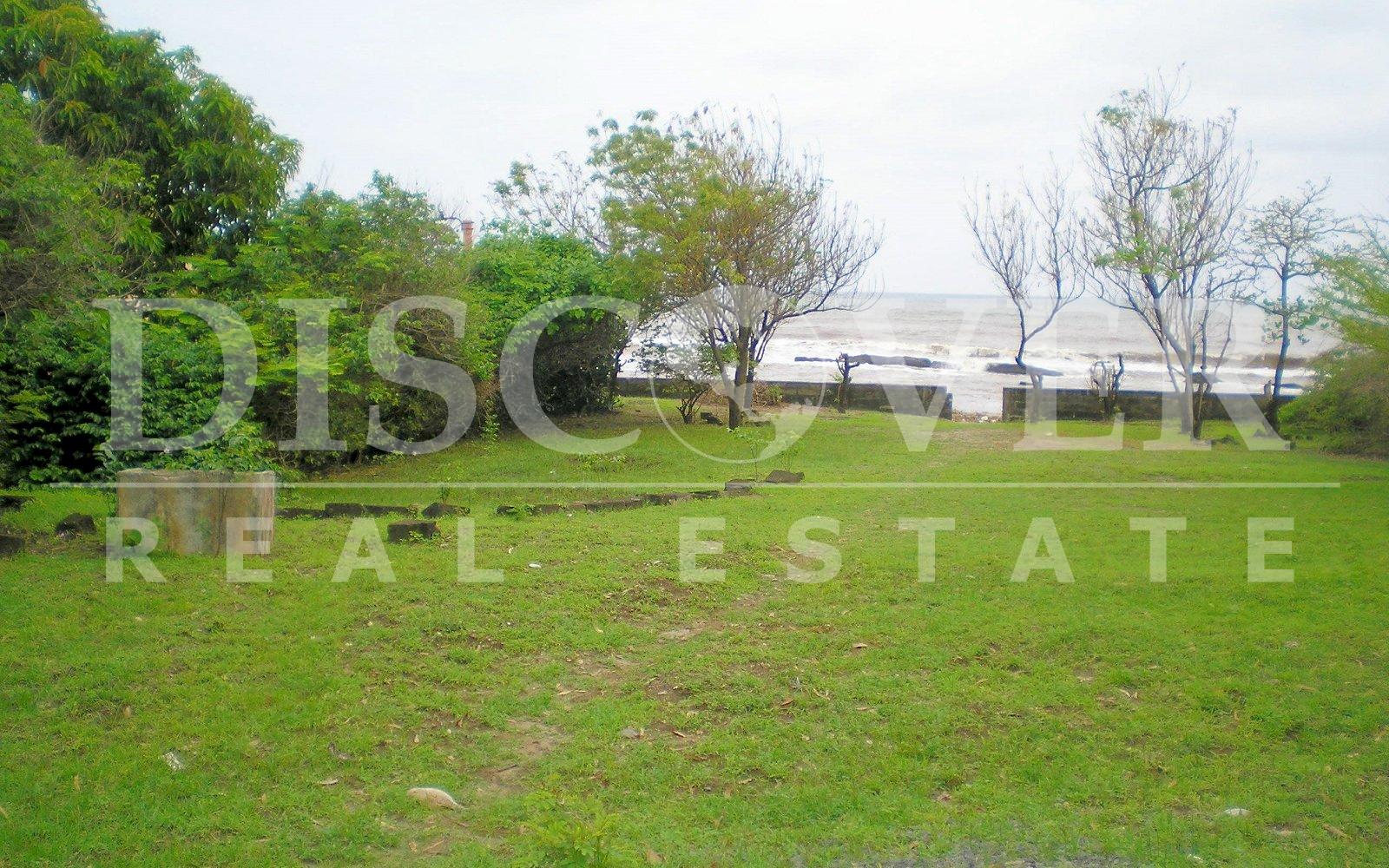 Imagen 1 de la galería