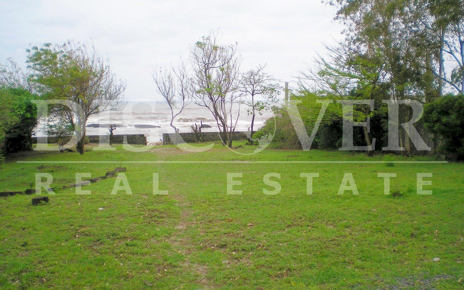 Imagen 3 de la galería
