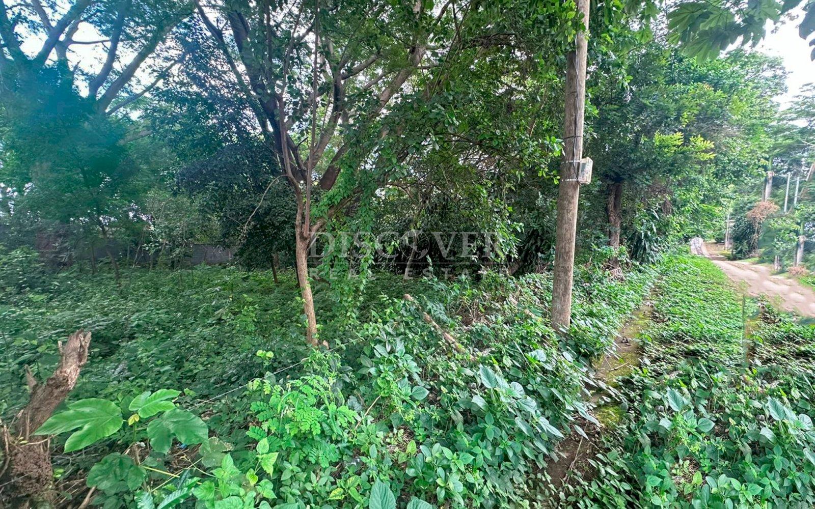 https://images.discovernica.com/propiedad/1600/ID10998.jpg
