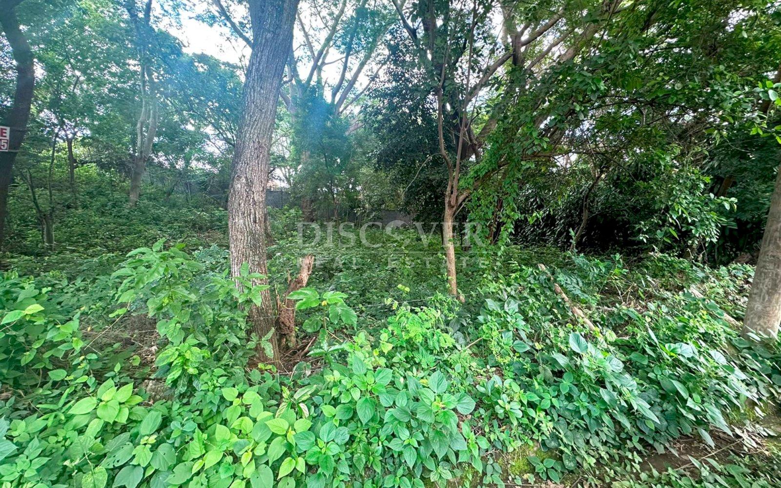 https://images.discovernica.com/propiedad/1600/ID10998_2_1.jpg