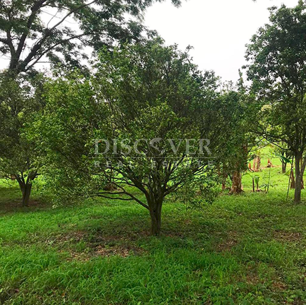 Agricultural property for sale in Niquinohomo - Masaya