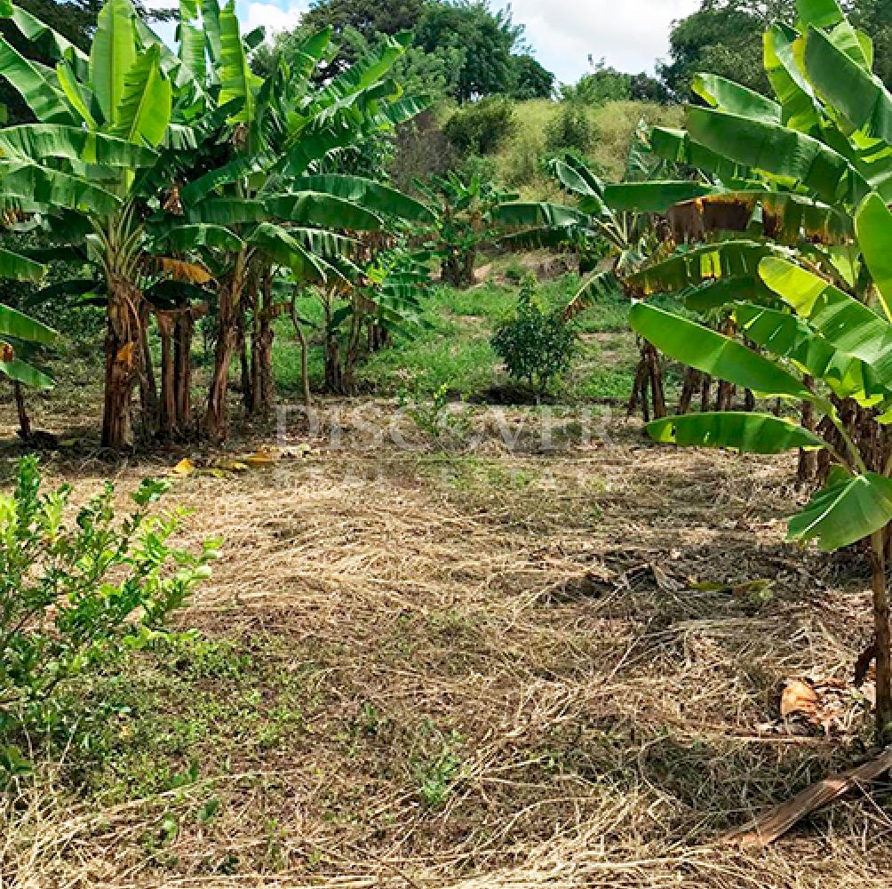  Agricultural property for sale in Niquinohomo - Masaya