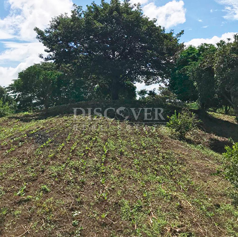  Agricultural property for sale in Niquinohomo - Masaya