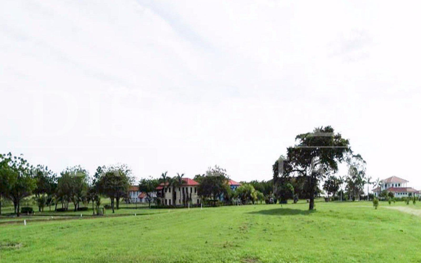 Imagen 4 de la galería