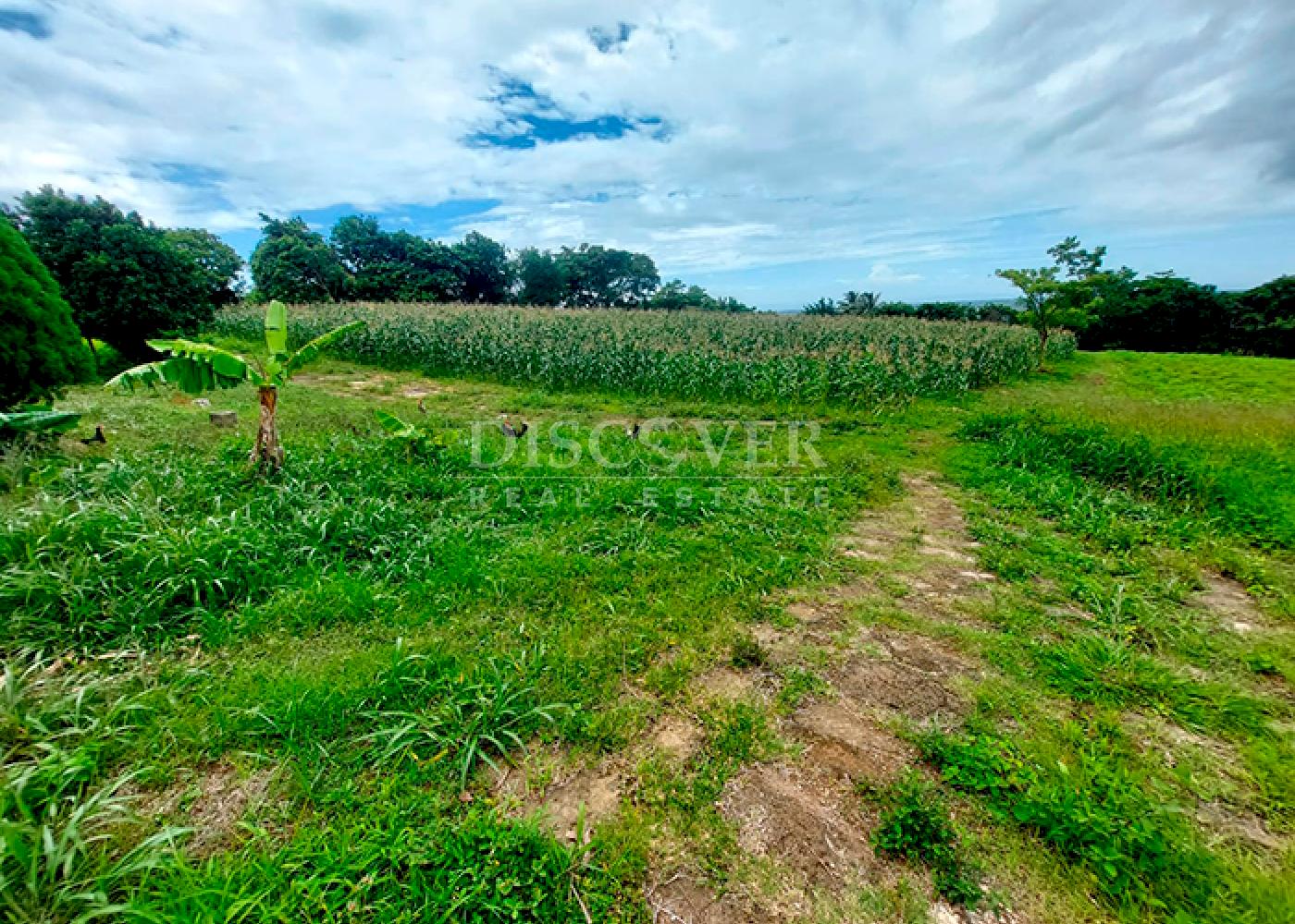 Imagen 3 de la galería