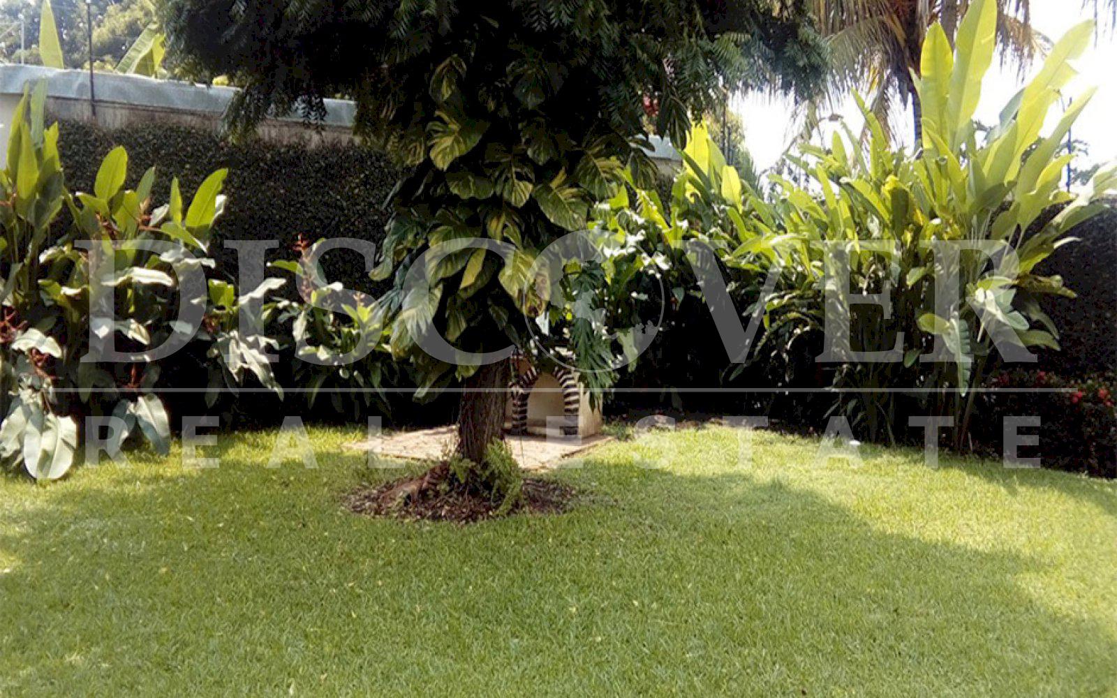 https://images.discovernica.com/propiedad/1600/ID11405cuatro.jpg