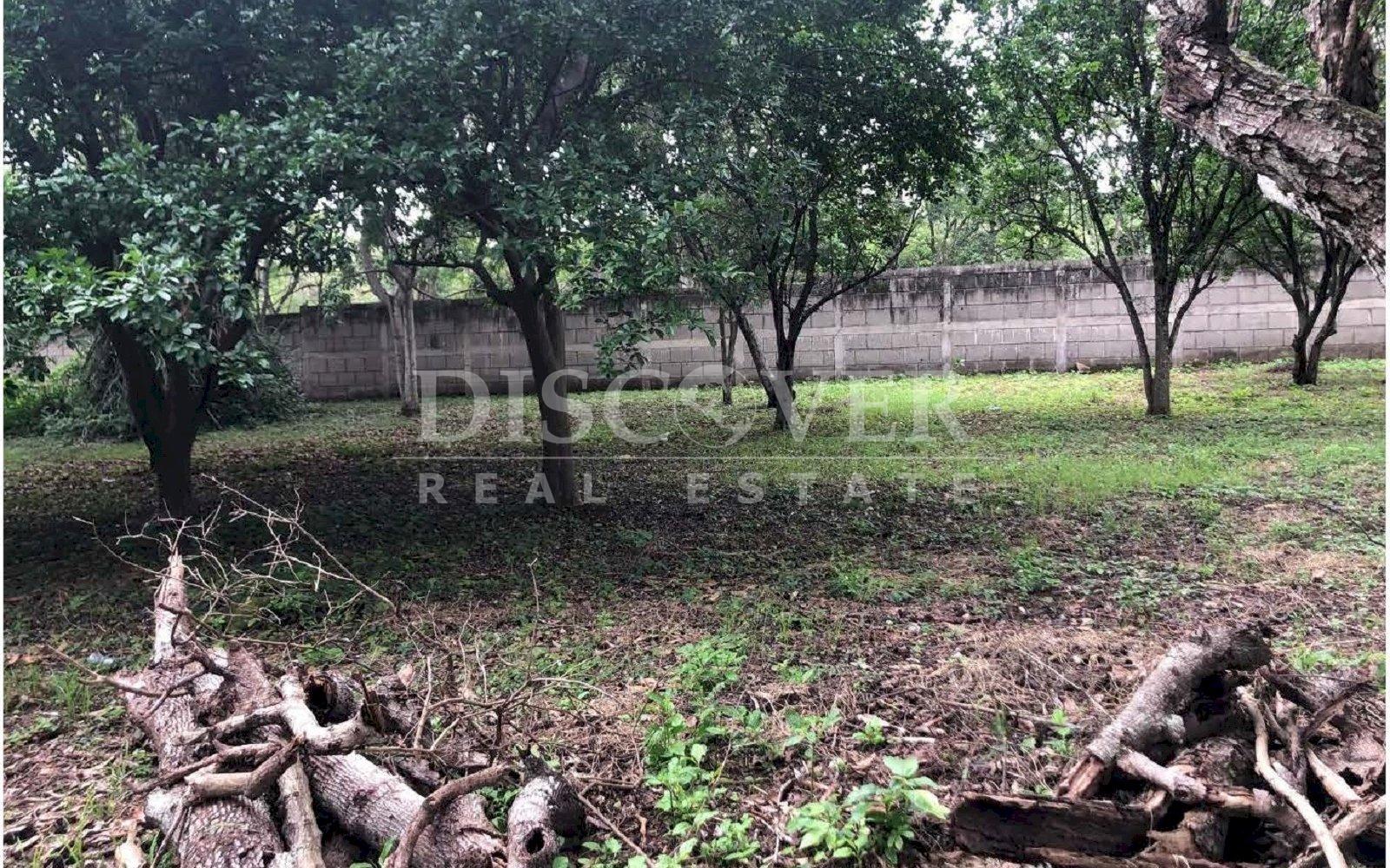 https://images.discovernica.com/propiedad/1600/ID11872_P_gina_6.jpg