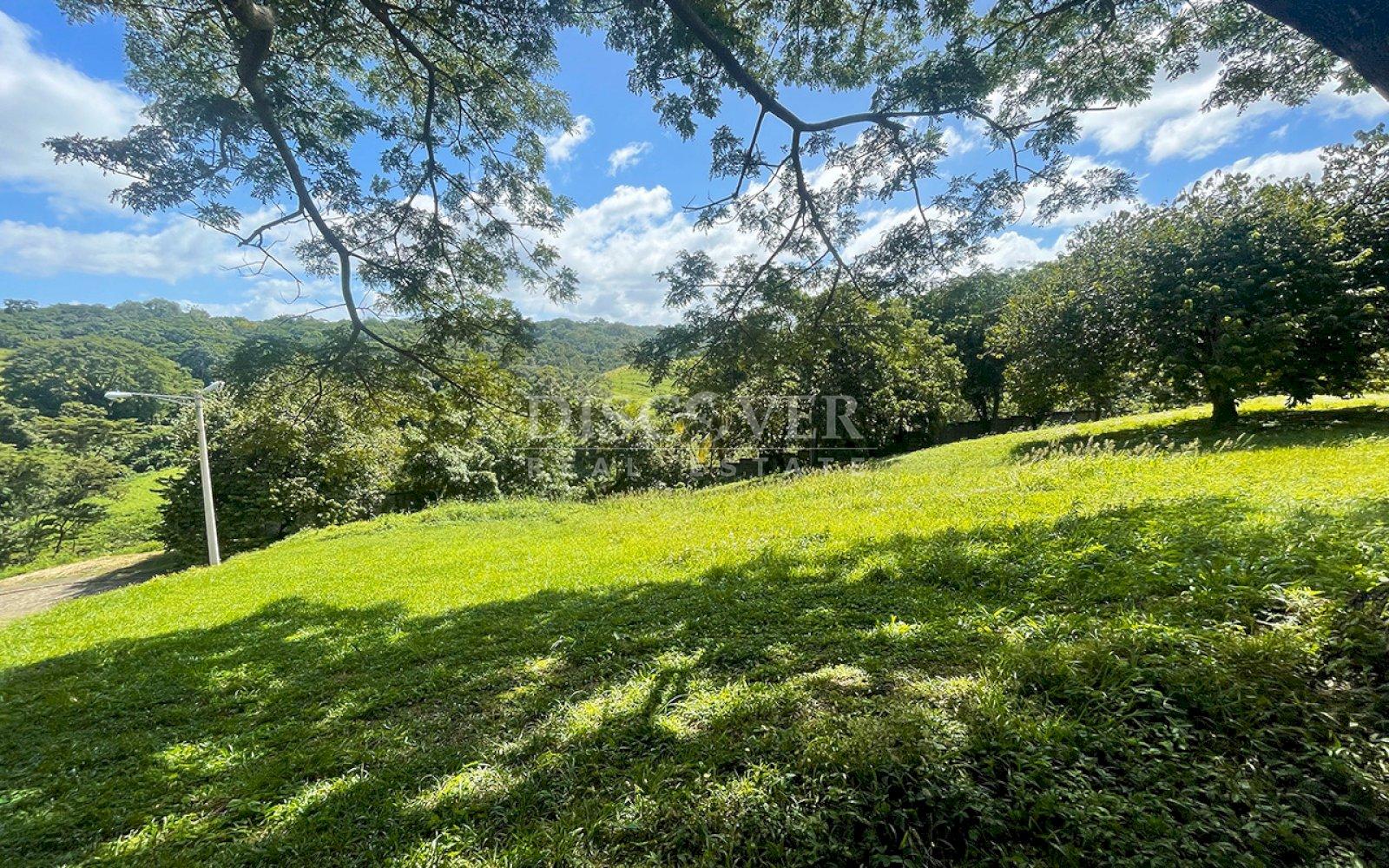 Imagen 7 de la galería