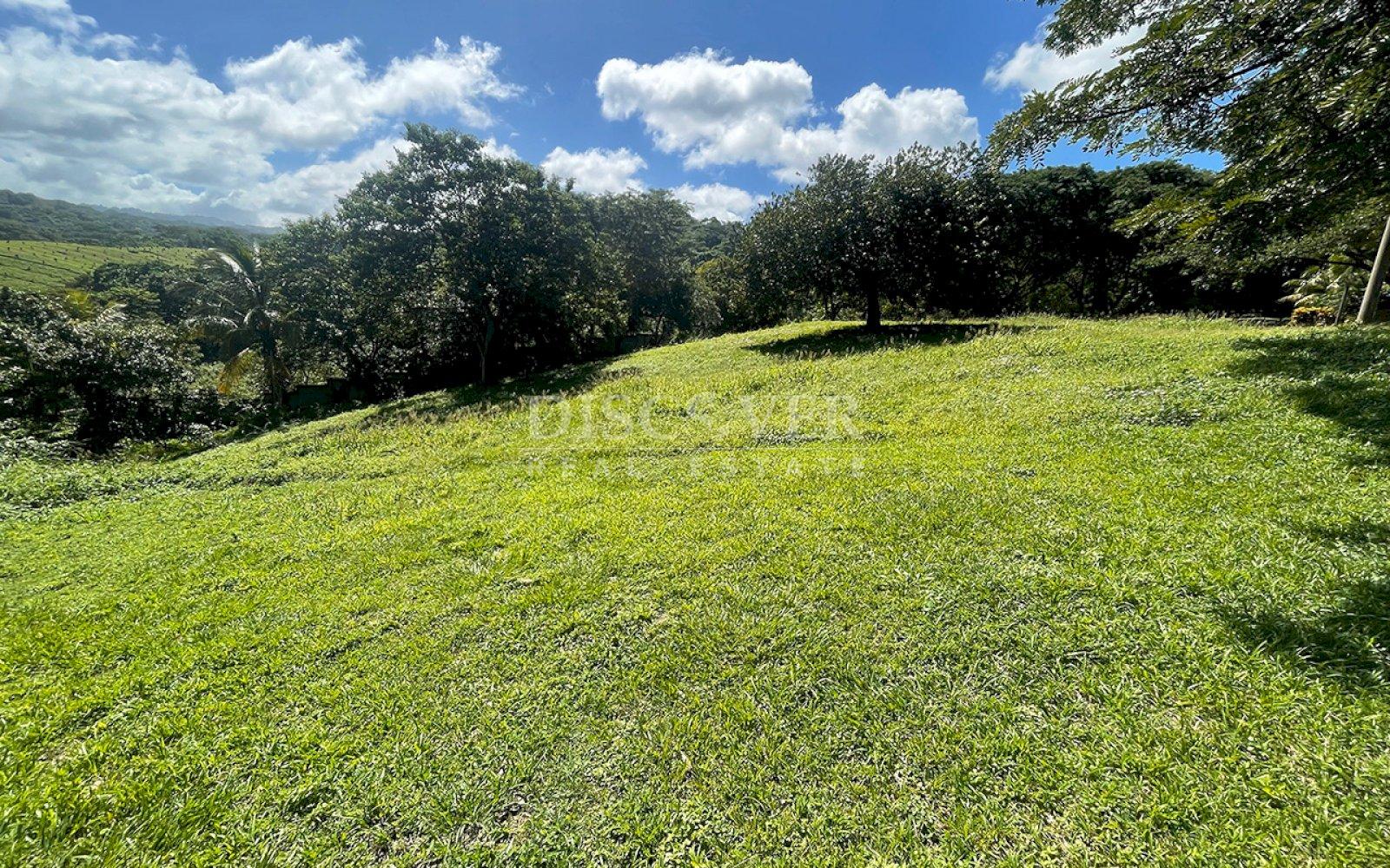 https://images.discovernica.com/propiedad/1600/ID12564_6_1.jpg