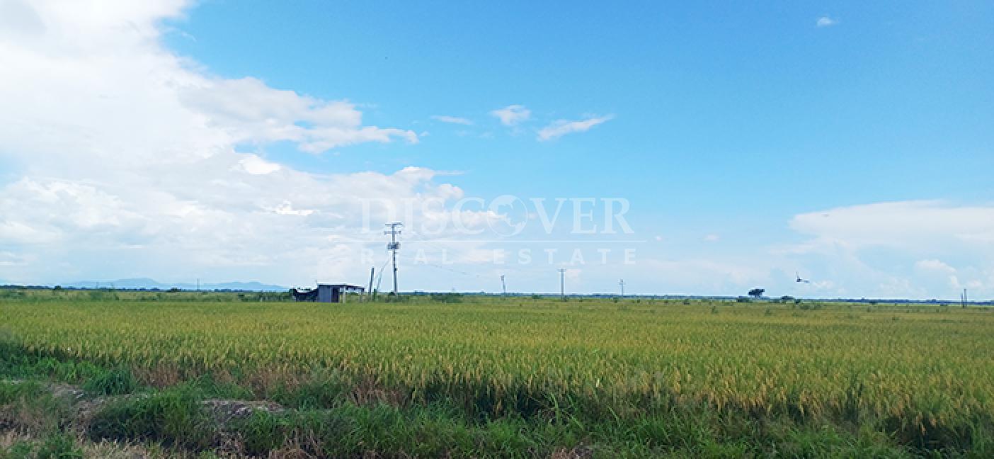 Rice Farm for Sale in Malacatoya 