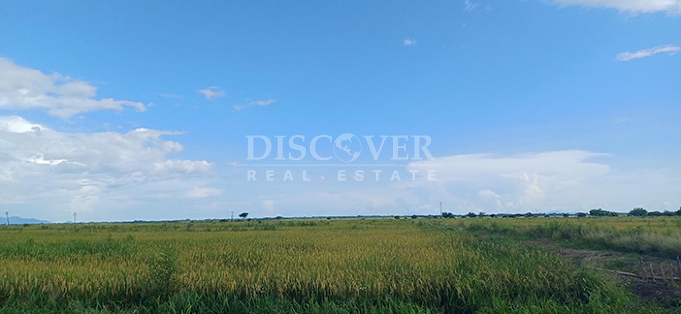 Rice Farm for Sale in Malacatoya 