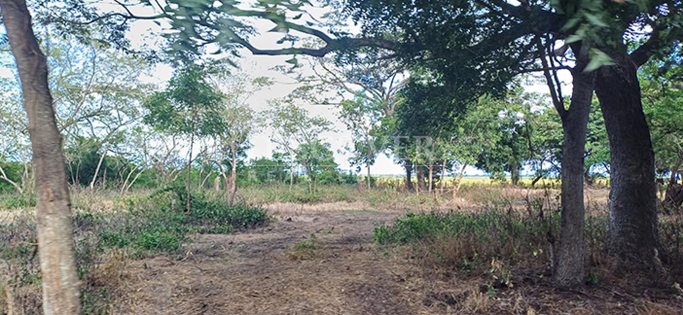 Rice Farm for Sale in Malacatoya 