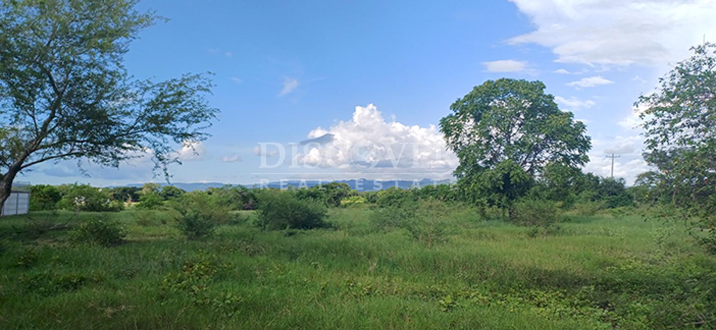 Rice Farm for Sale in Malacatoya 