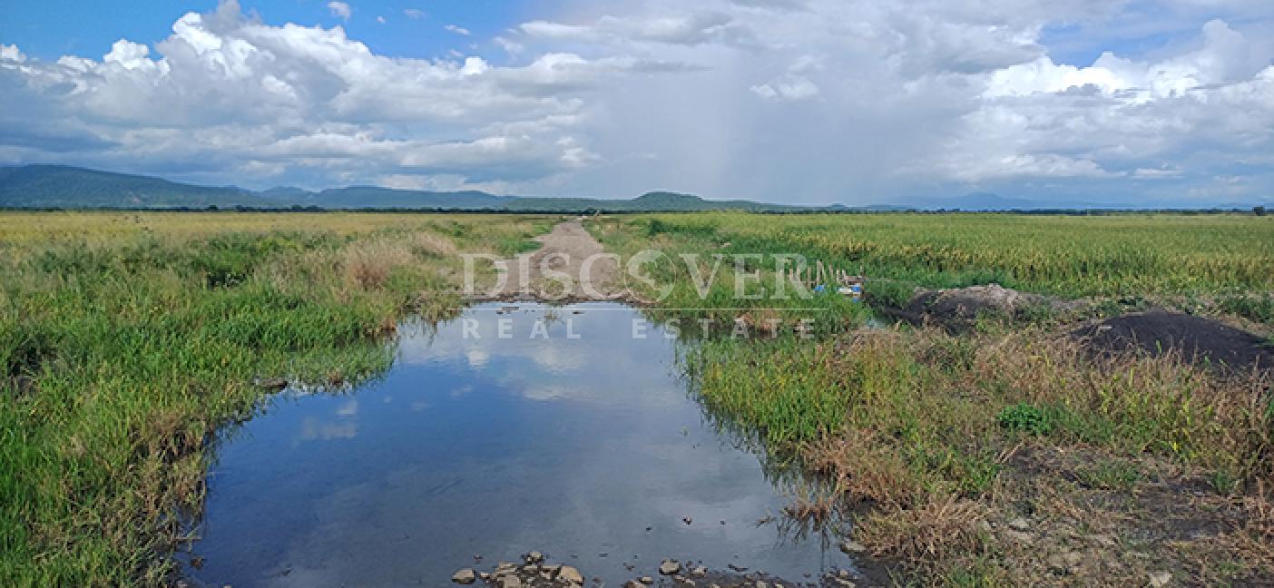 Rice Farm for Sale in Malacatoya 