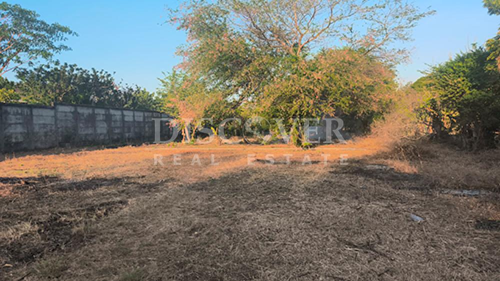 Imagen 3 de la galería
