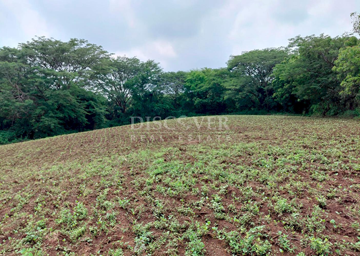 Imagen 8 de la galería