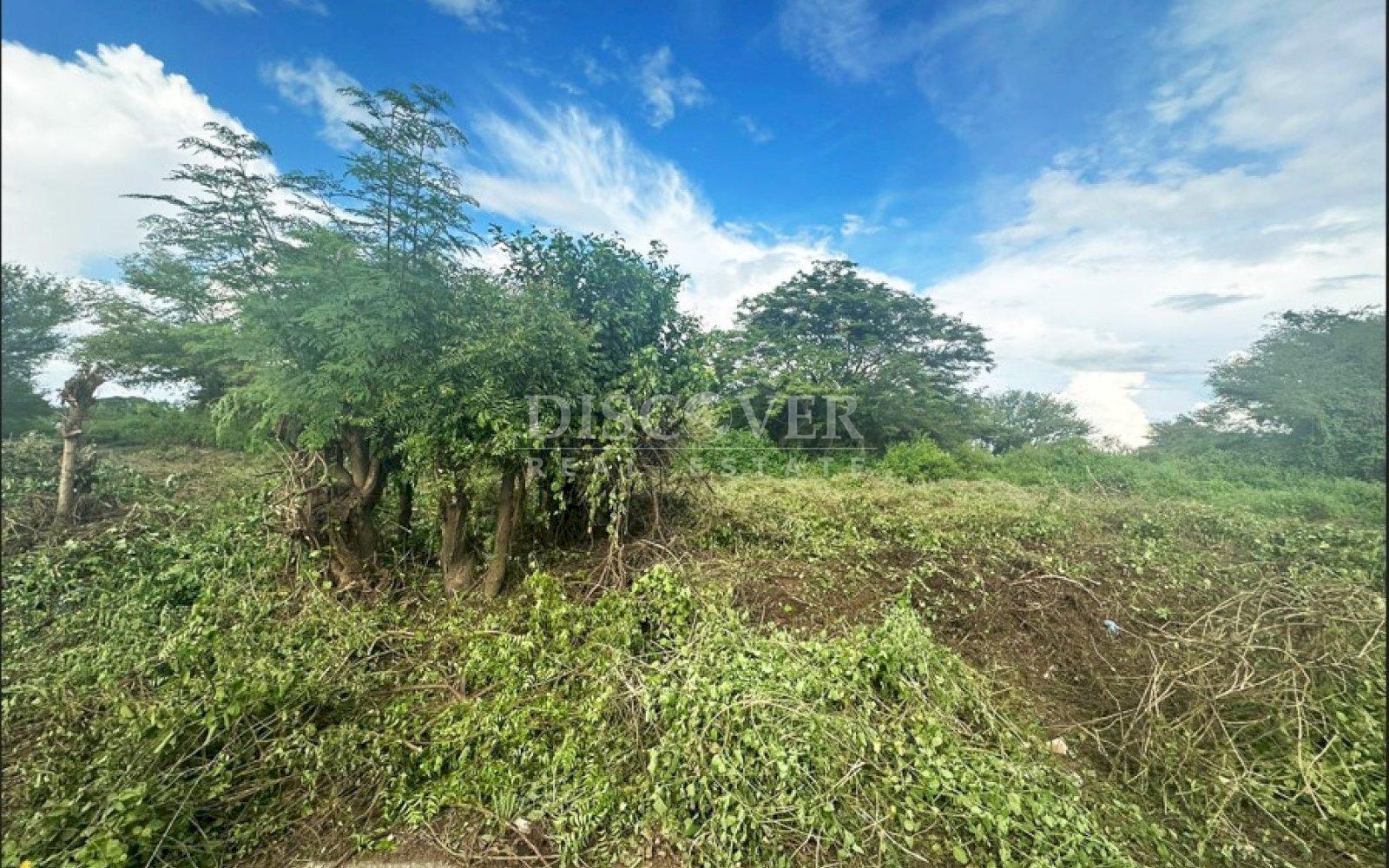  Land for Sale - Sabana Grande