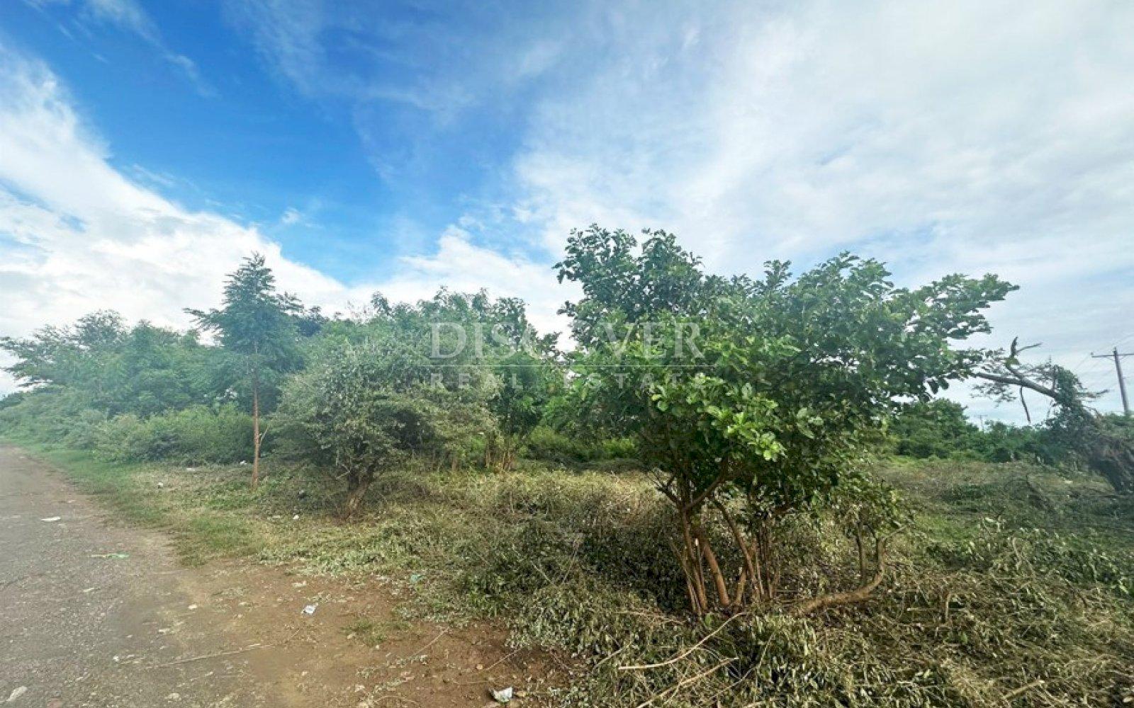  Land for Sale - Sabana Grande