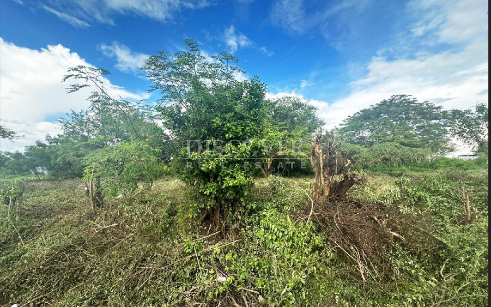  Land for Sale - Sabana Grande
