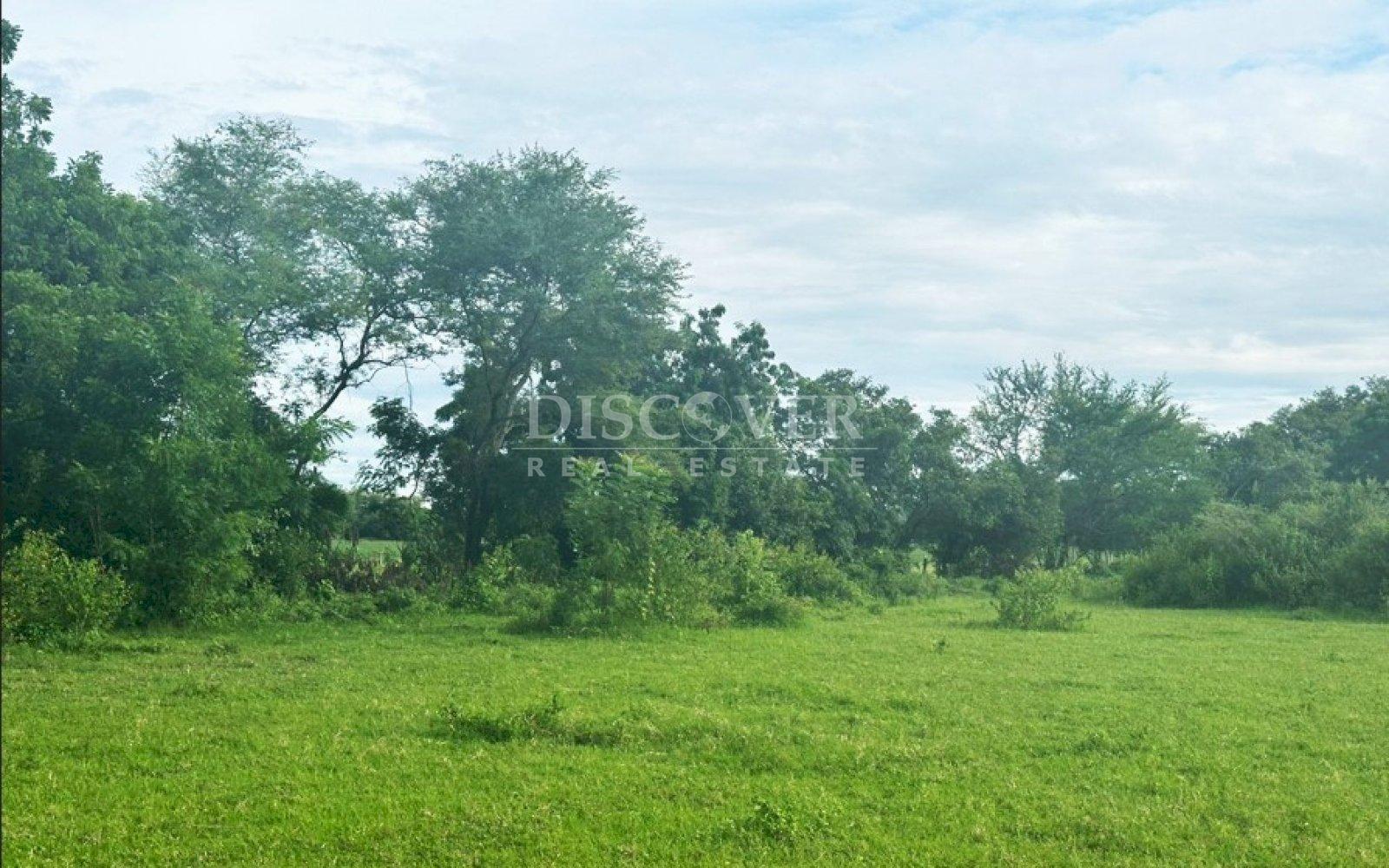  Land for Sale - Sabana Grande