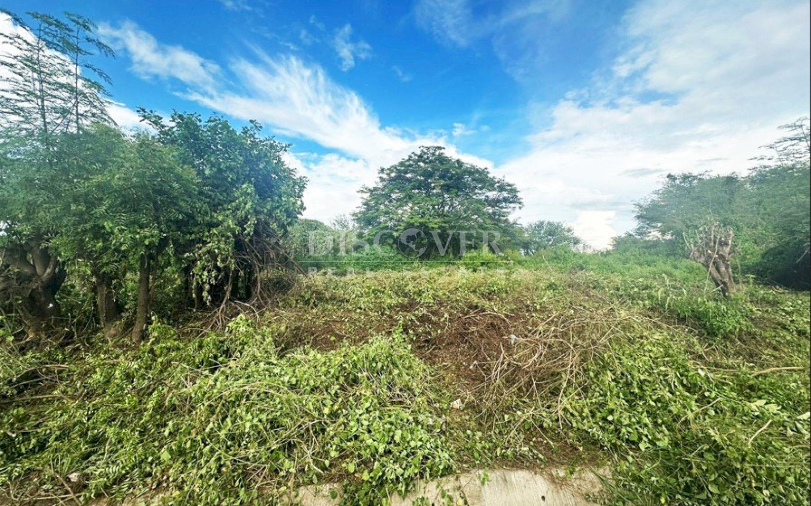  Land for Sale - Sabana Grande