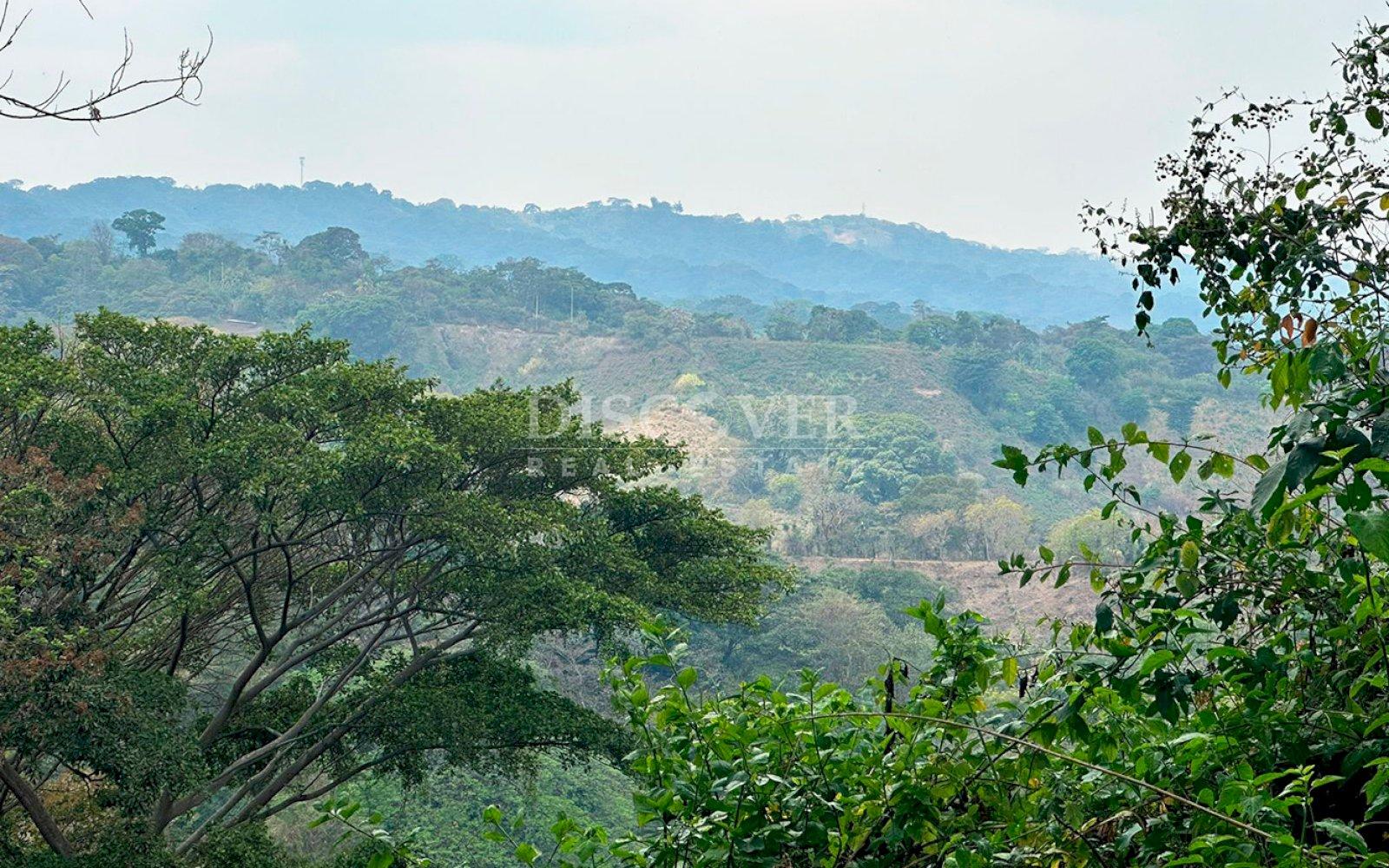 Imagen 1 de la galería