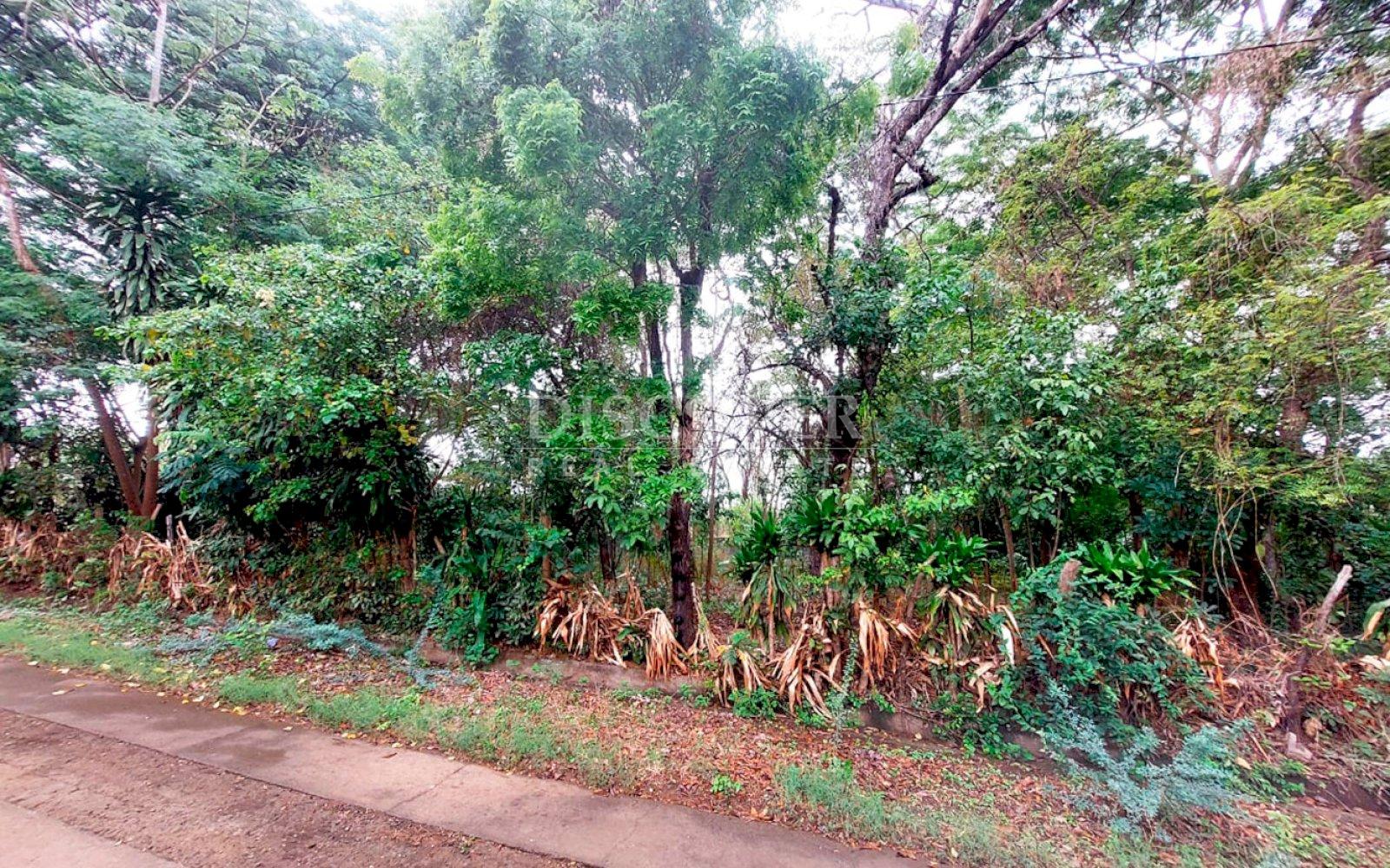 https://images.discovernica.com/propiedad/1600/ID13649_1.jpg