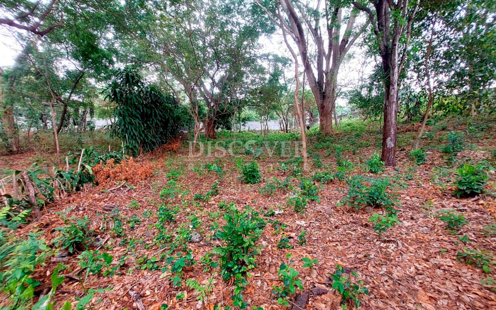 https://images.discovernica.com/propiedad/1600/ID13649_6.jpg