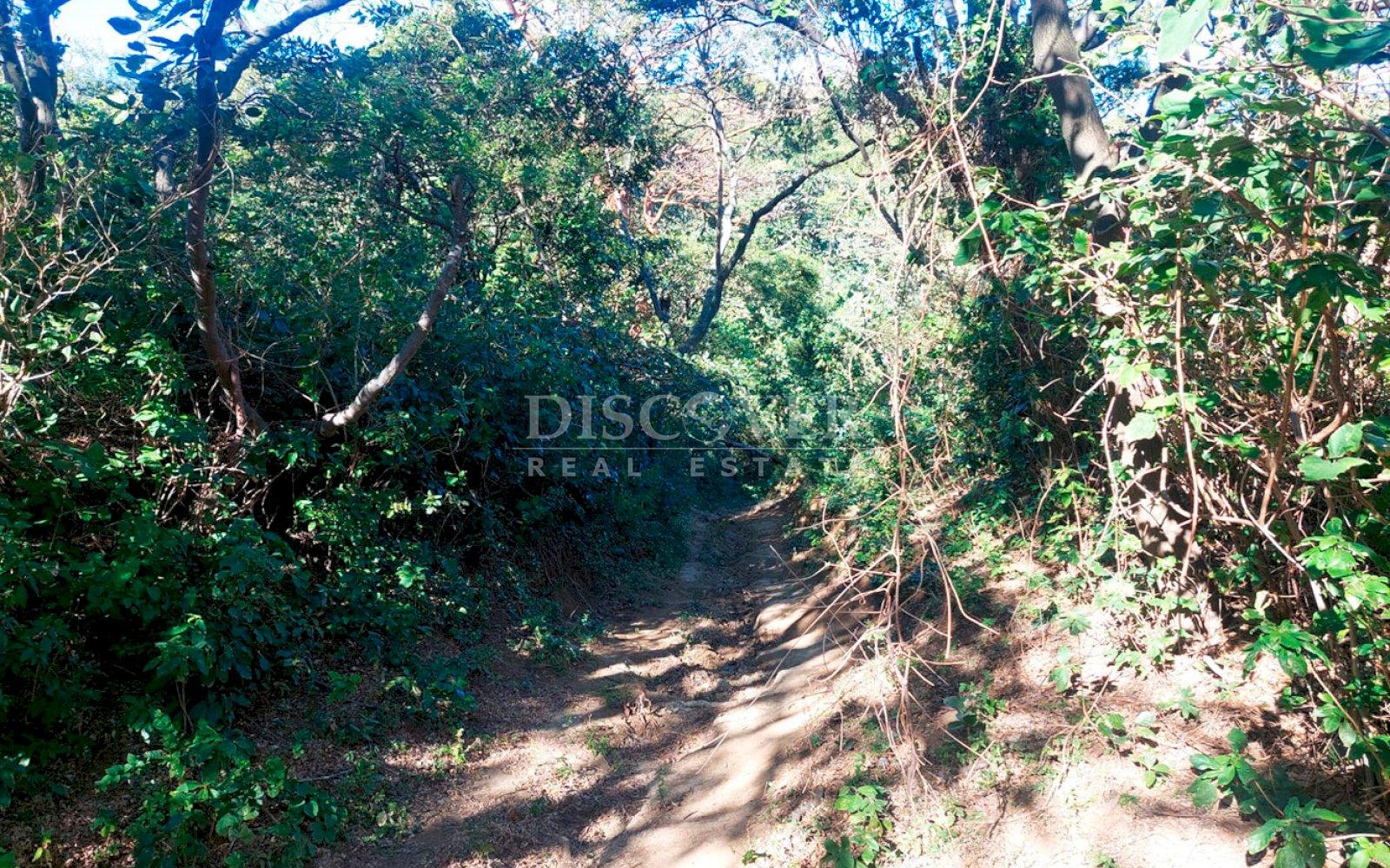 https://images.discovernica.com/propiedad/1600/ID13655.jpg