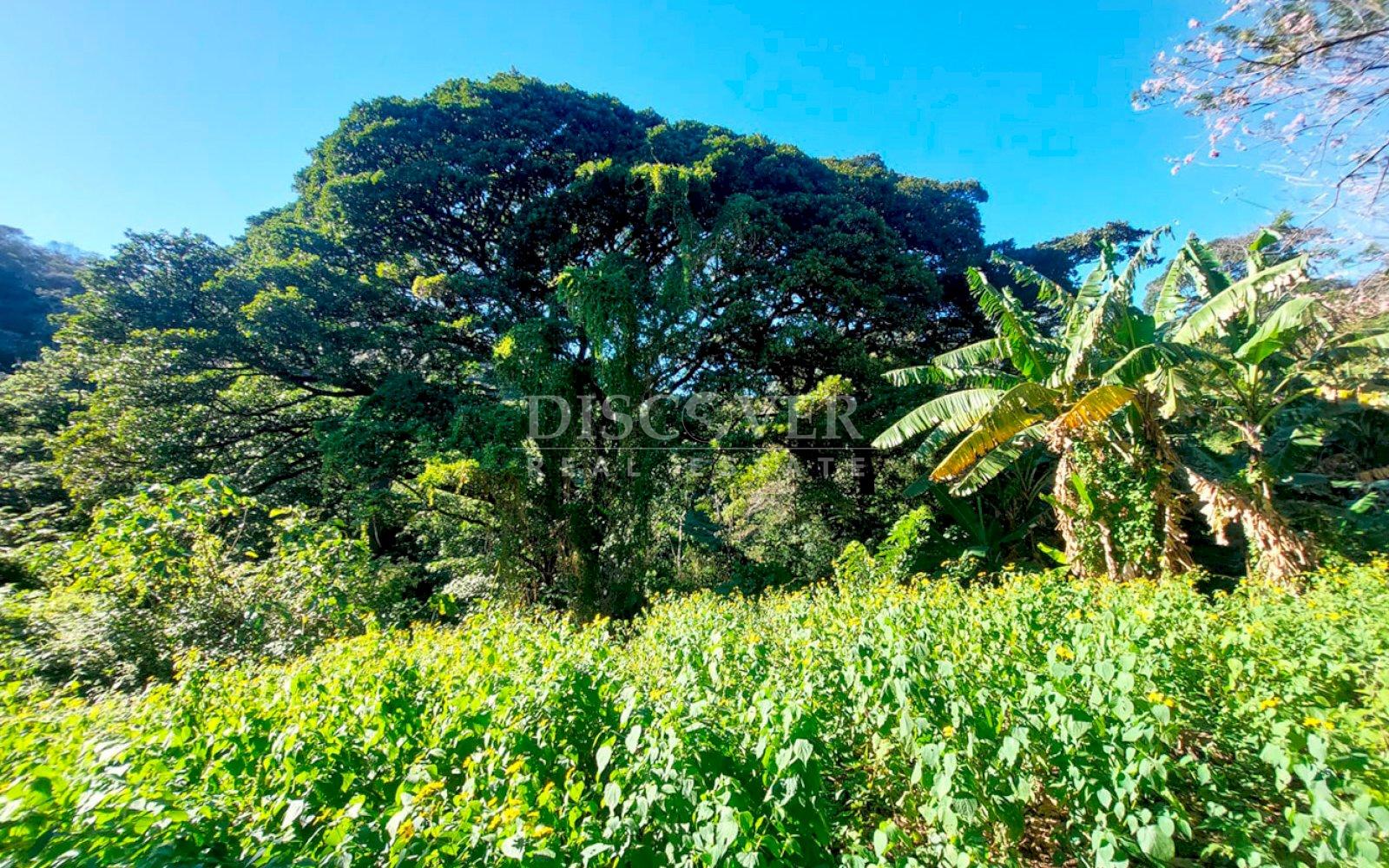 https://images.discovernica.com/propiedad/1600/ID13655_1.jpg