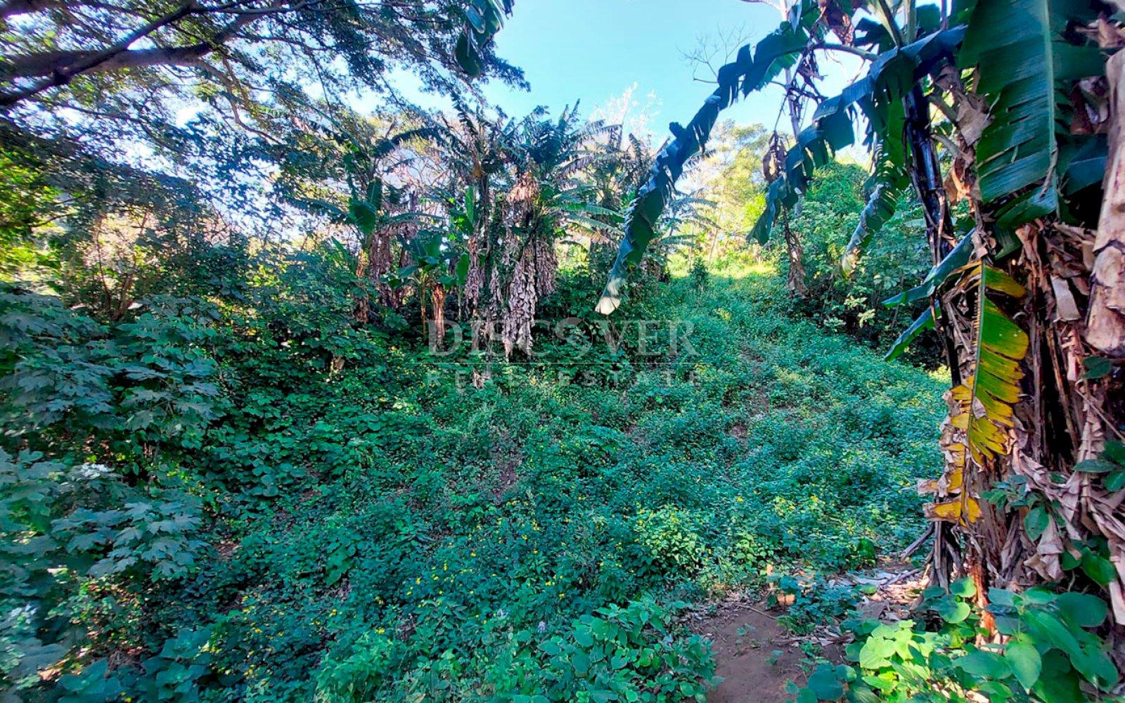 https://images.discovernica.com/propiedad/1600/ID13655_3.jpg