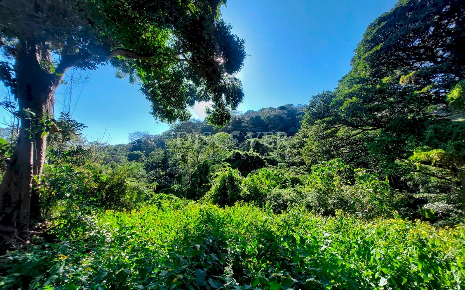 https://images.discovernica.com/propiedad/1600/ID13655_4.jpg