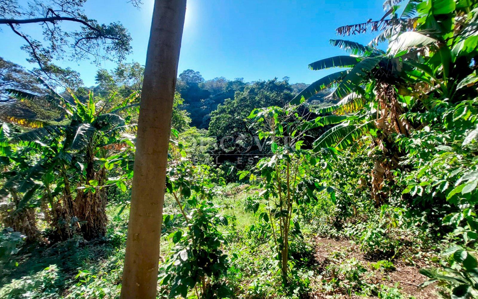 https://images.discovernica.com/propiedad/1600/ID13655_5.jpg