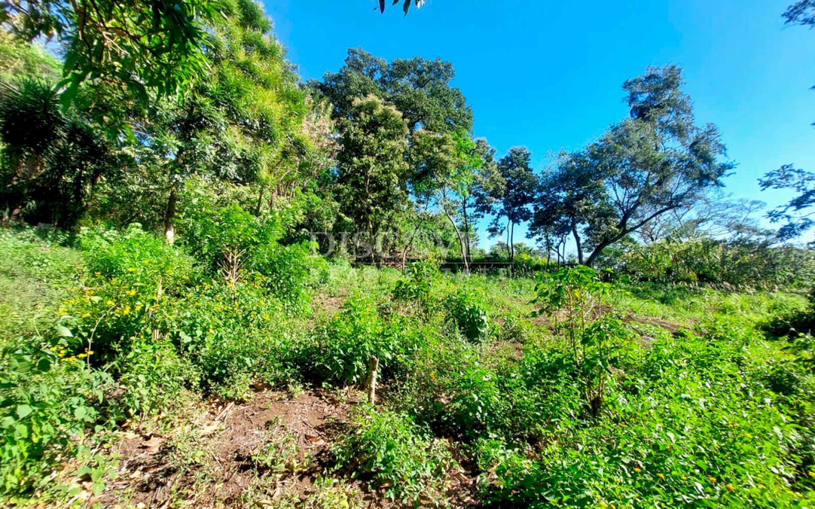 https://images.discovernica.com/propiedad/1600/ID13655_6.jpg