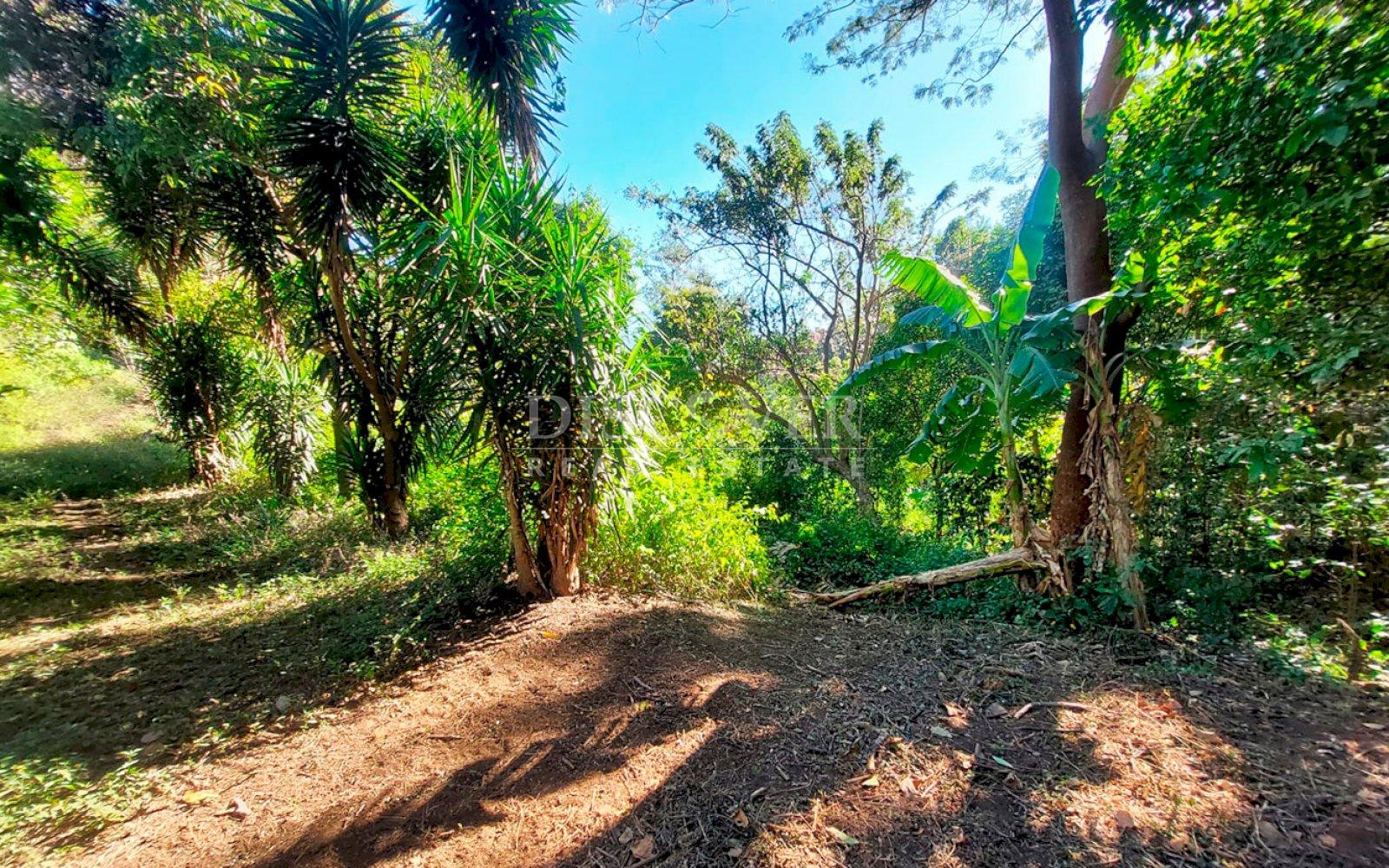 https://images.discovernica.com/propiedad/1600/ID13655_7.jpg