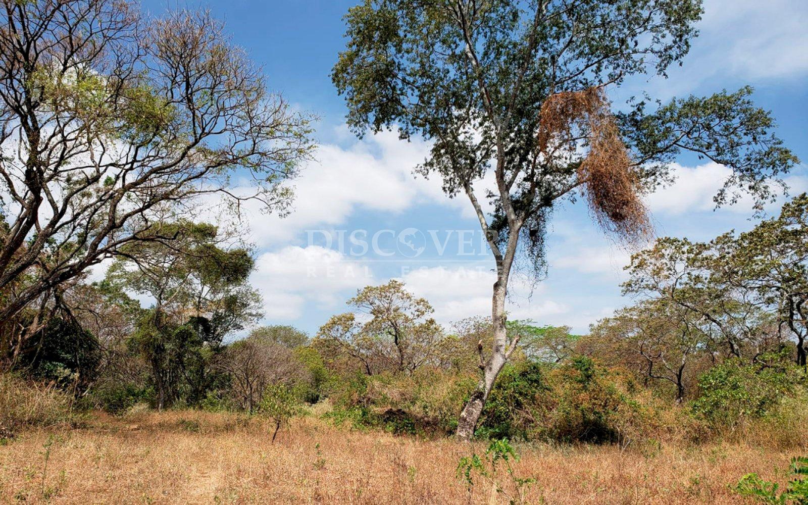 https://images.discovernica.com/propiedad/1600/ID13662_1.jpg